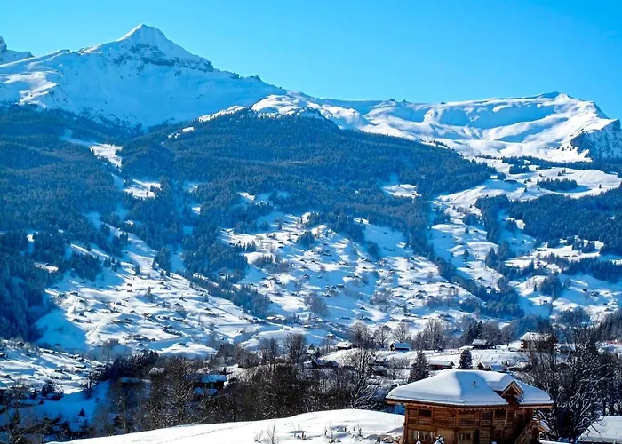 La Muntaniala By Interhome Lejlighed Grindelwald